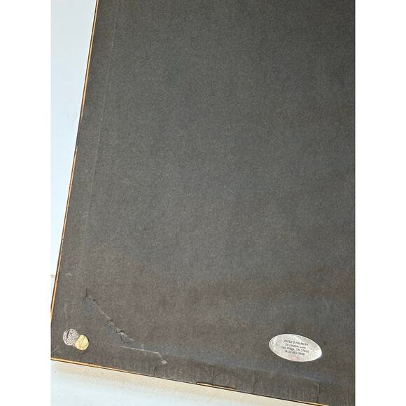 Hand Tinted Framed Photograph Woman Tennessee 19x15" w Frame - Picture 5 of 6